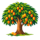Mango Tree